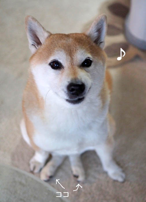 24日午前ブログ３
