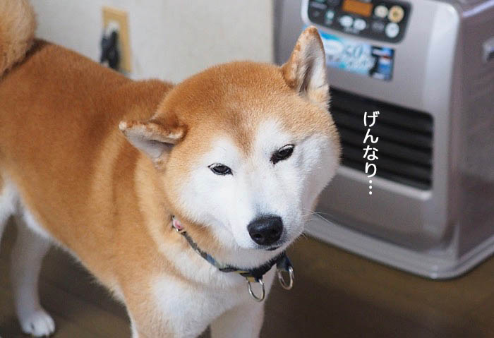 2日夜ブログ２