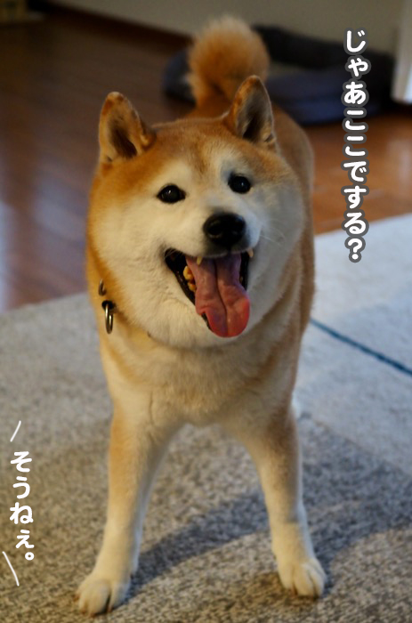 9日朝ブログ３