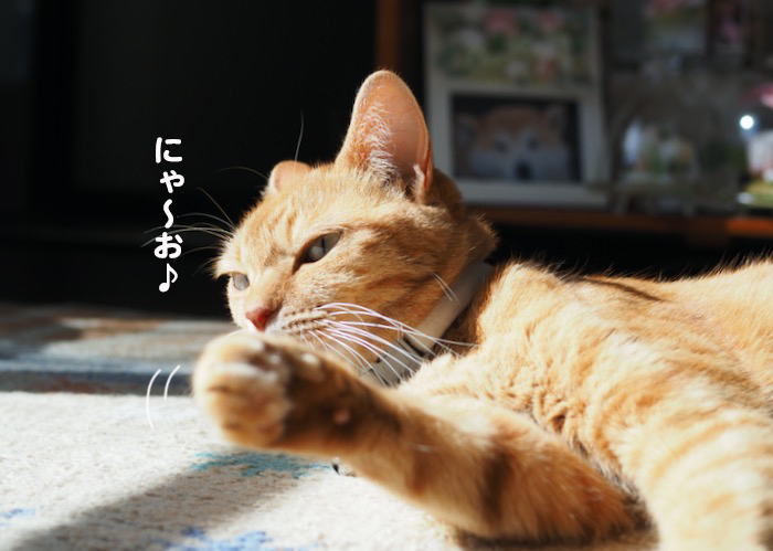 5日ブログ２