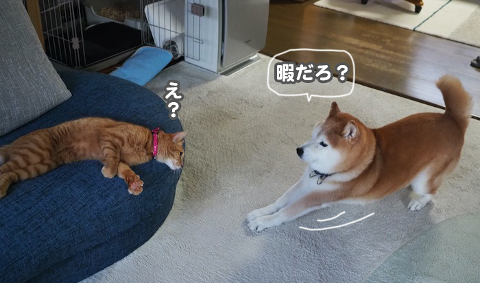 26日夕ブログ3
