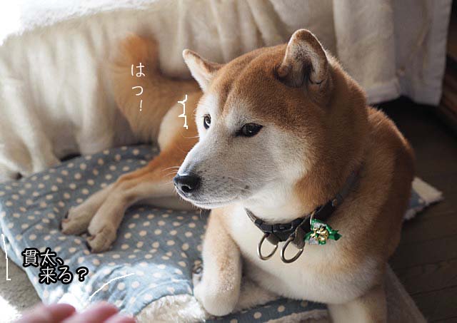 25日ブログ8