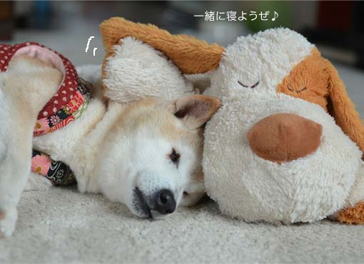 26日ブログ3.jpg