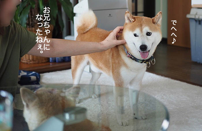 1日ブログ４