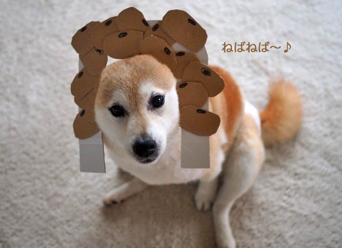 27日夜ブログ５