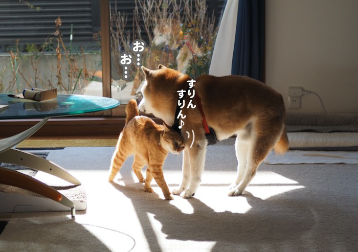 6日の夜ブログ３