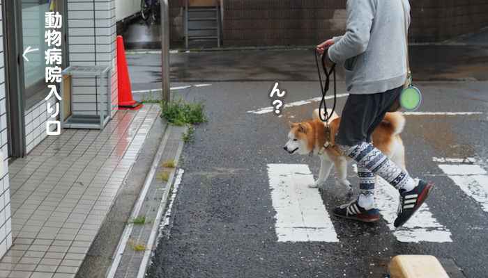 21日夕ブログ５