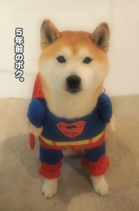 18日ブログ７