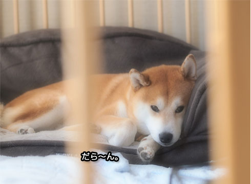 14日ブログ5.jpg