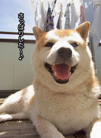 18日ブログ8.jpg