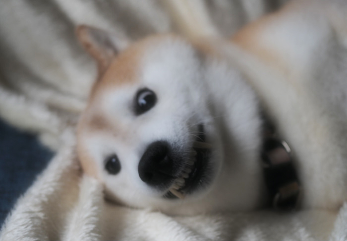 23日ブログ３