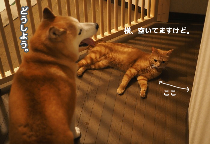 30日夕ブログ３