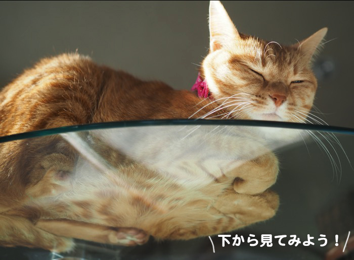 17日夕ブログ７
