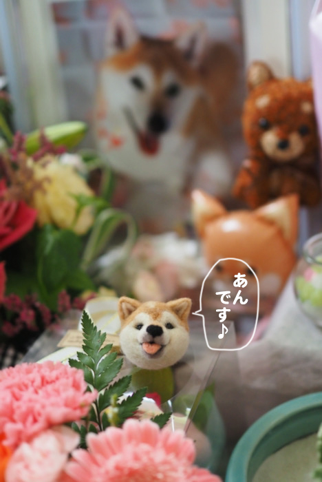 1日夕ブログ６