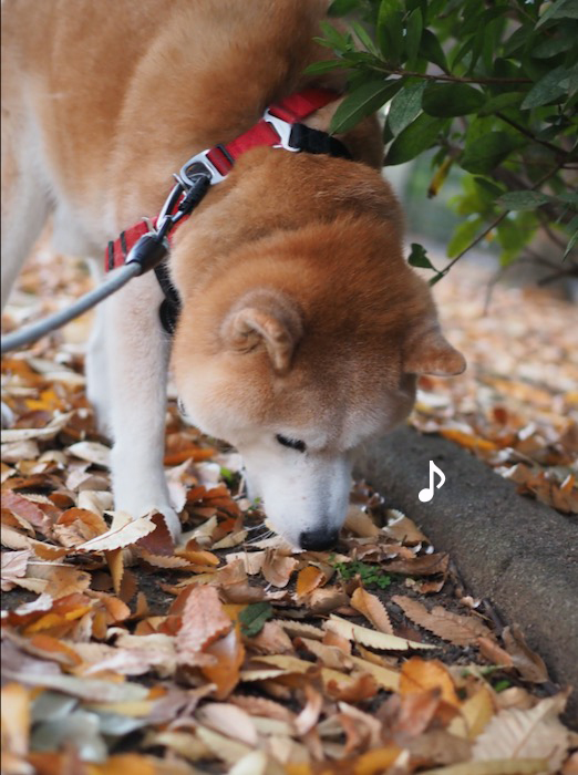 4日ブログ３