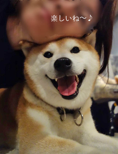 21日ブログ4