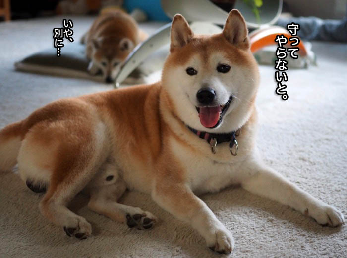 6日夕ブログ３