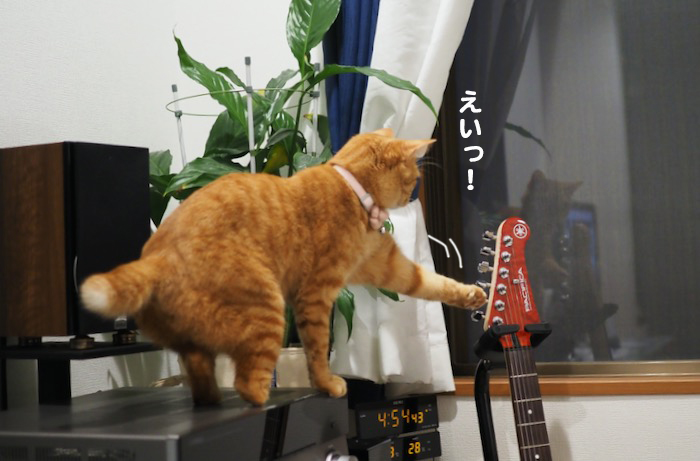 22日夕ブログ６