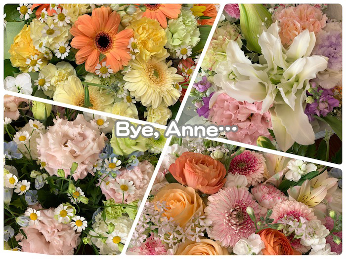 29日夕ブログ９