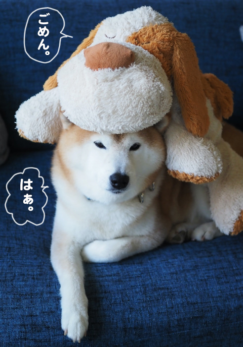 18日夕ブログ５