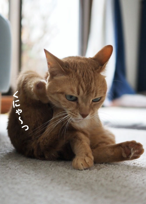 16日夕ブログ２