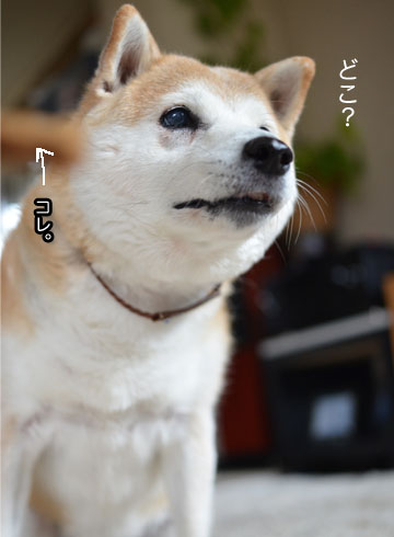 30日ブログ7.jpg