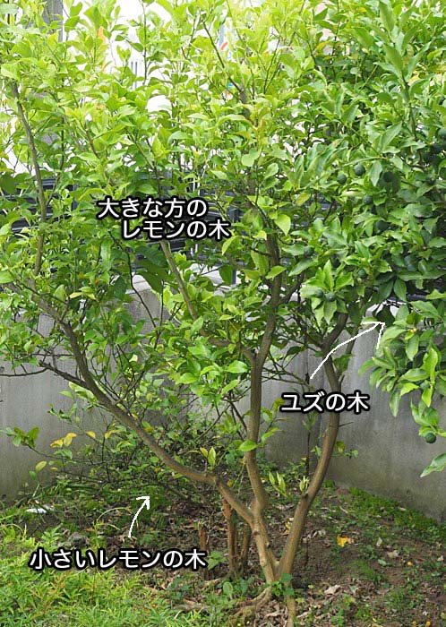 27日ブログ１０
