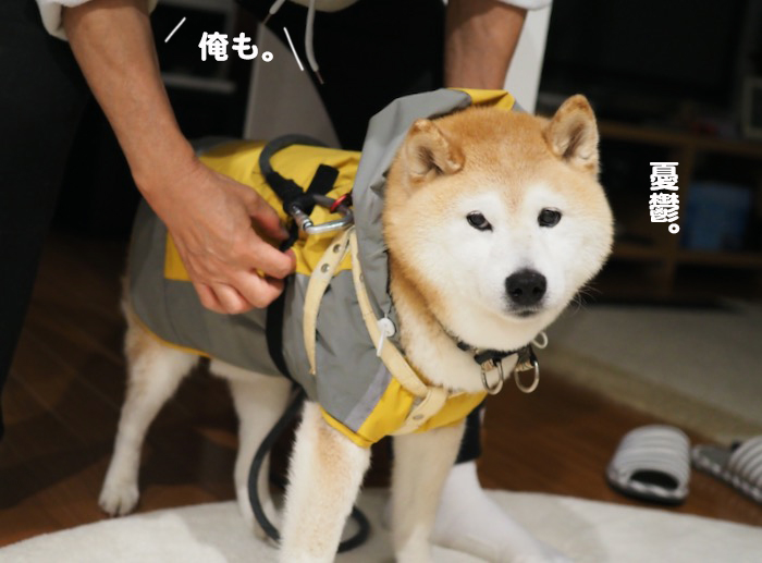 15日夕ブログ６