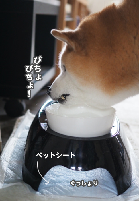 18日ブログ３