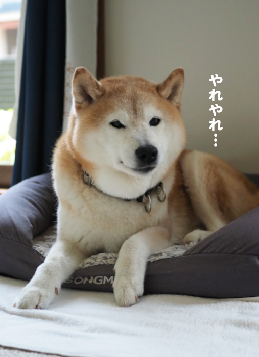 21日夕ブログ８