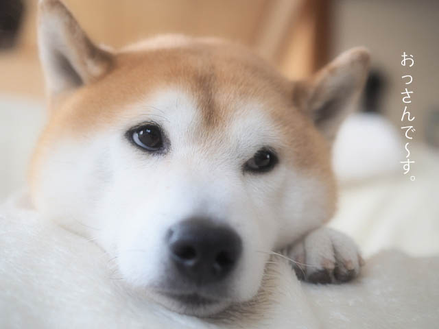 5日ブログ5