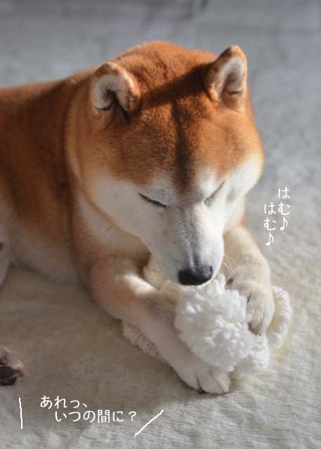 20日夜ブログ2
