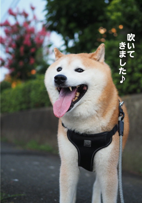 1日午前ブログ３