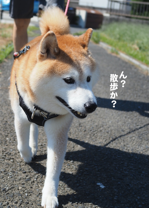 1日夕ブログ３