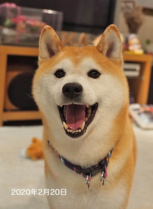 11日ブログ３