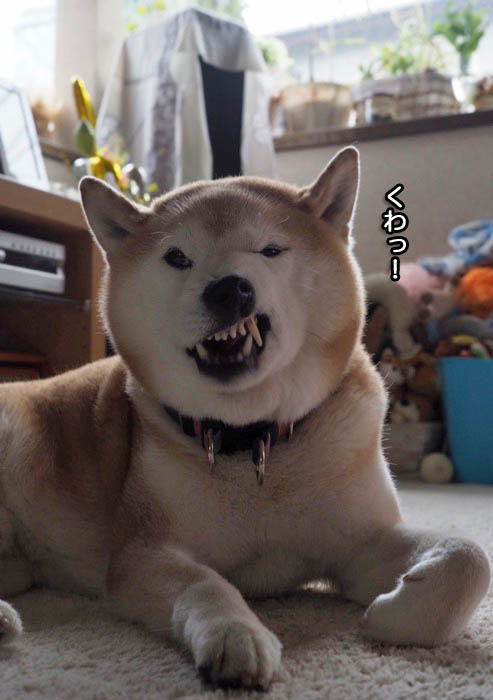 17日ブログ６