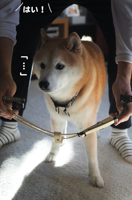 26日ブログ４