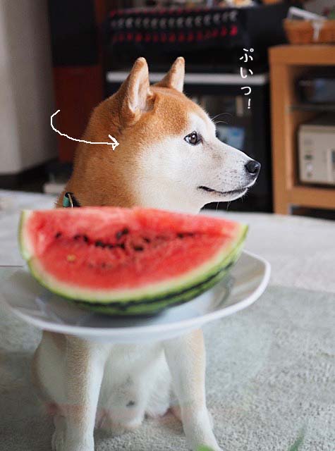 29日ブログ7