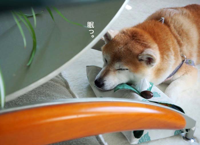 13日ブログ６