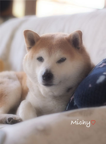 24日ブログ10.jpg