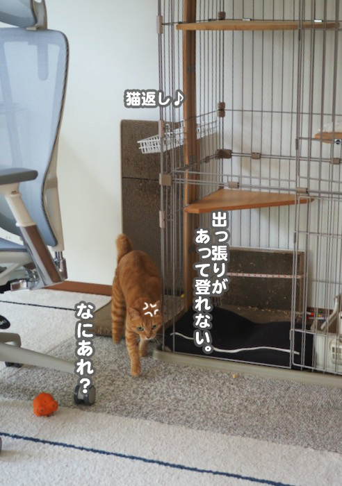 3日夕ブログ１１