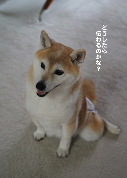 29日夜ブログ２