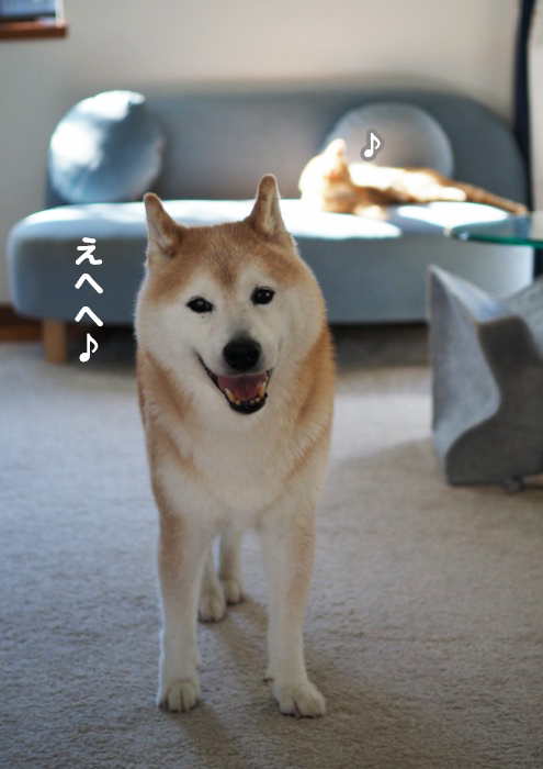 28日夕ブログ２