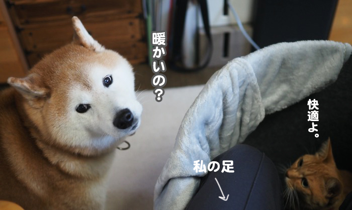 4日夕ブログ７