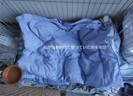 5日ブログ10.jpg
