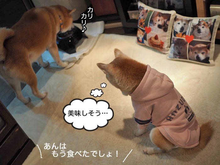 17日夜ブログ２