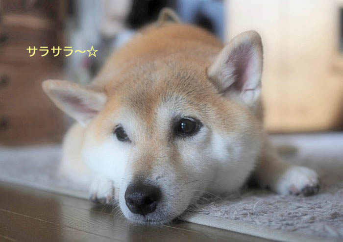 5日ブログ１１