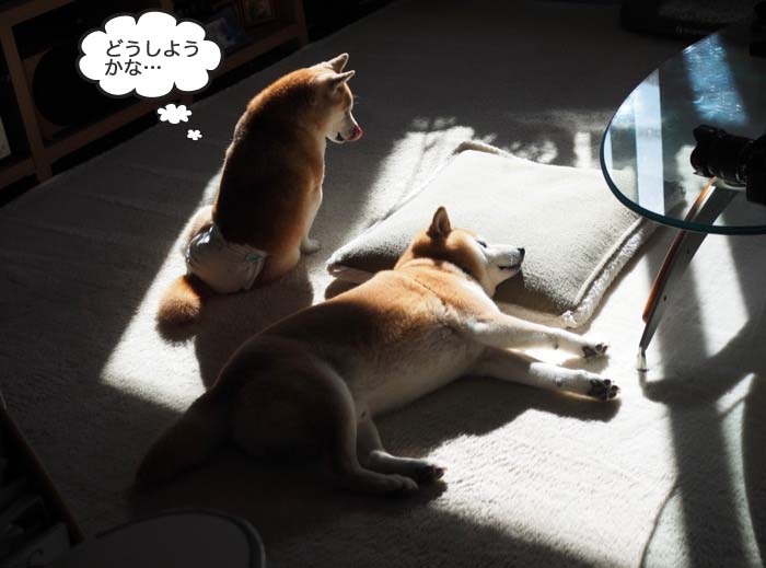 13日夜ブログ4