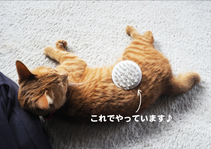 23日夕ブログ２