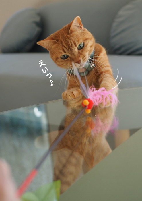 19日夕ブログ４
